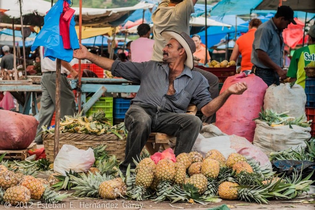 Vendedor de la feria